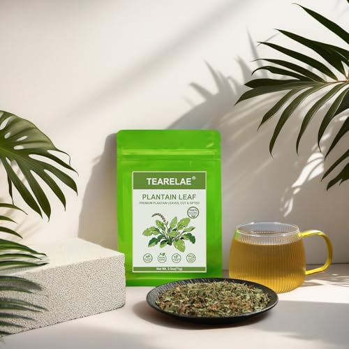 Plantain Leaf (2.5 Ounce (Pack of 1))