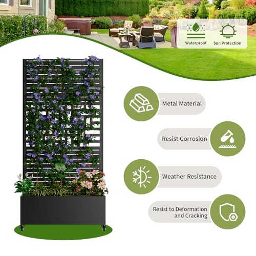 Metal Planter Box with Trellis and Wheels (Black / Rectangular D)