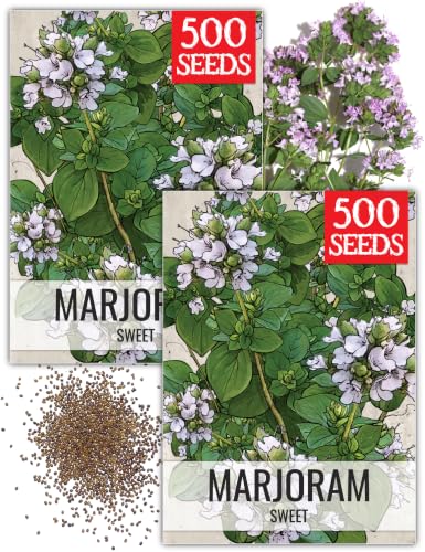 Sweet Marjoram Seeds to Plant Heirloom Non (2 Packs)