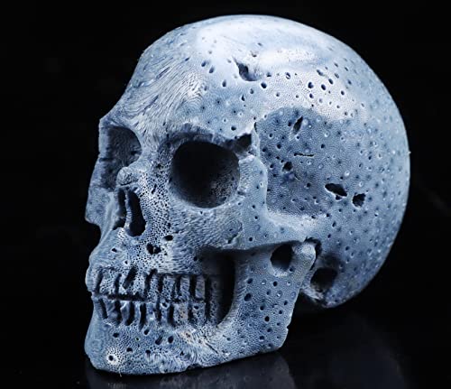 2.0" Blue Sponge Coral Crystal Skull (2.0" Blue Sponge Coral 7)