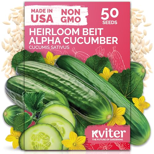 50 Beit Alpha Cucumber Heirloom Vegetable Seeds