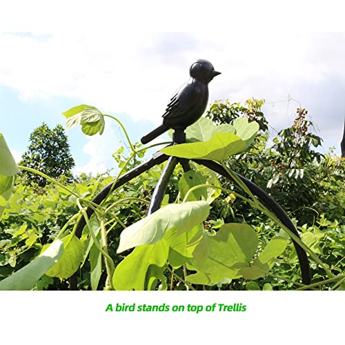 Garden Trellis for Climbing Plants (Black)