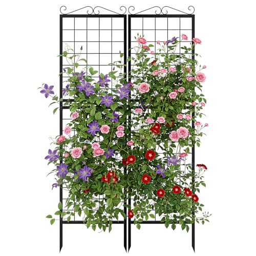 2 Pack Garden Trellis for Climbing Plants (71''H x 20''W/2 Pack / Black Square Grid)