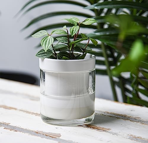 4 Inch Self Watering Planter (4 Count)