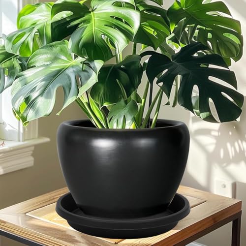 5 Pack Plant Saucer 6 Inch (6" (5 Pack) / Brown)
