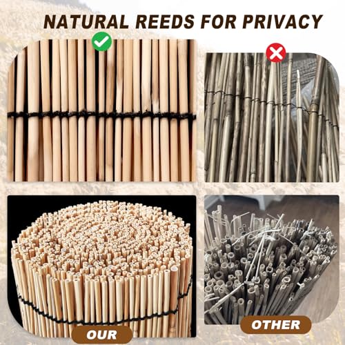 Reed Fencing Rolls (6×10FT / Natural color)