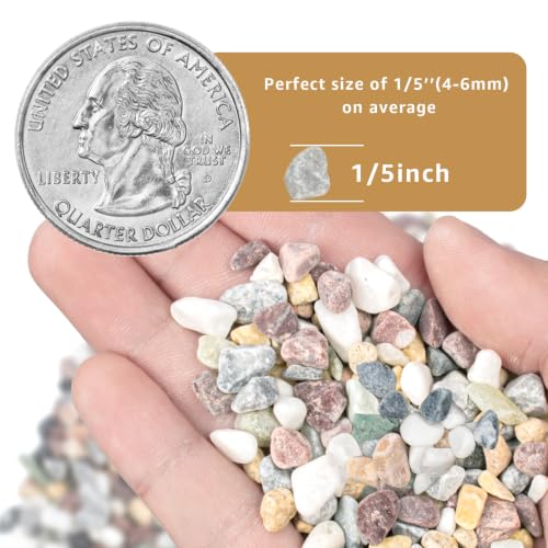 5lbs Natural Gravel Pebbles for Succulents and Cacti (Colorful / 5 Pounds)
