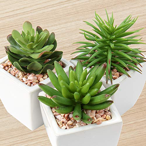Small Faux Succulents in White Ceramic Pot 3Pcs Artificial Succulents Fake Plant Gifts Home Decor Accents Centerpieces Bathroom Decor Mum Gifts Greenery Decoration Succulents Wedding (3pack - White Ceramic 2)