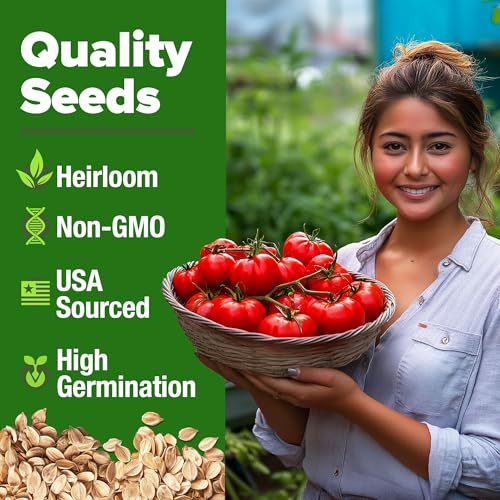 Beefsteak Tomato Seeds (2 Count)