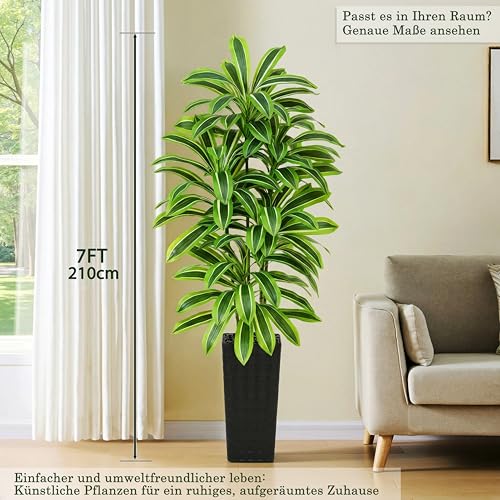 Artificial Dracaena Tree (Light Green – Black Pot / 7FT)