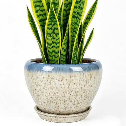 8 Inch Plant Pots (Beige&blue / 8 Inch)