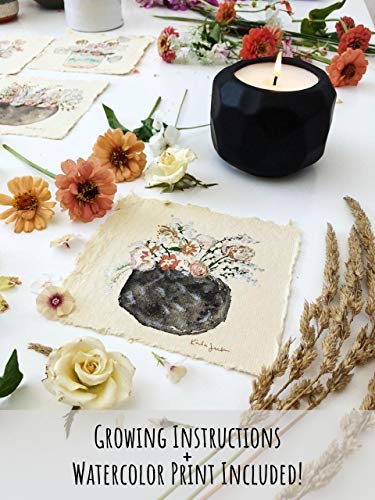 The Growing Candle (Emma)