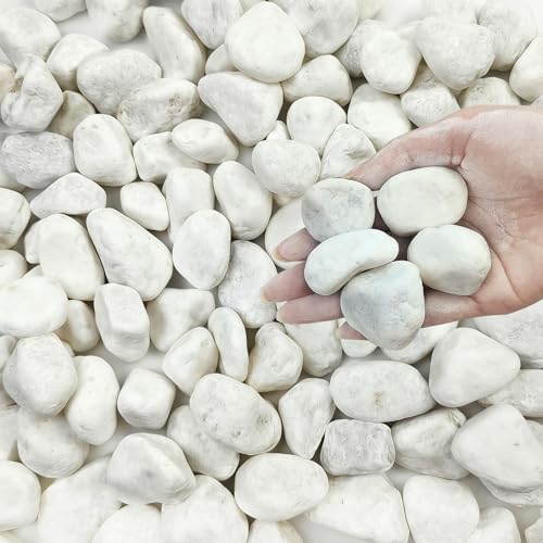 5 lbs White River Rocks for Plants