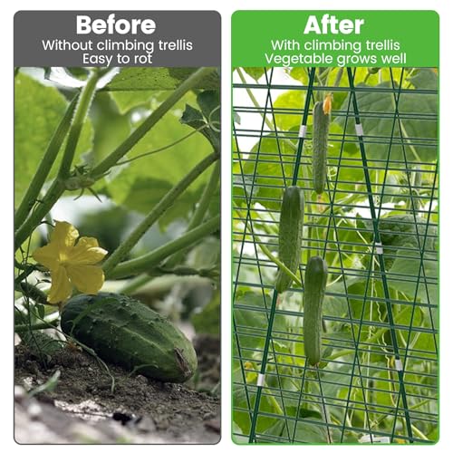 Foldable Cucumber Trellis 48" L x 34" W (48" L x 34" W)
