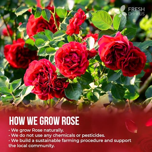 Premium 16oz Dried Rose Petals (16oz)