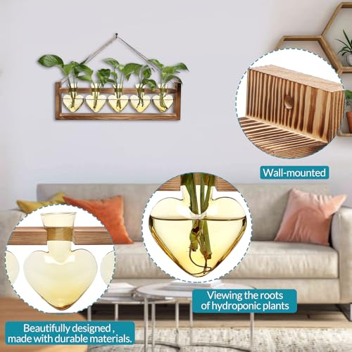 Plant Terrarium Hanging Propagation Stations Gift for Women