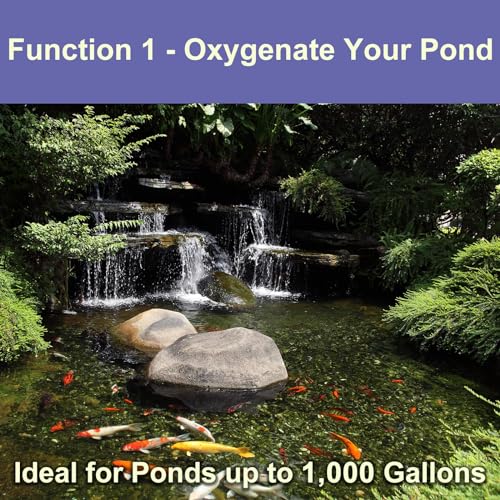 All-in-One Koi Pond Aerator for Outdoor Pond up to 1000 Gallons, Air Pump Aeration Kit with 2 Outlets Air Stones Airline Tubing Check Valves