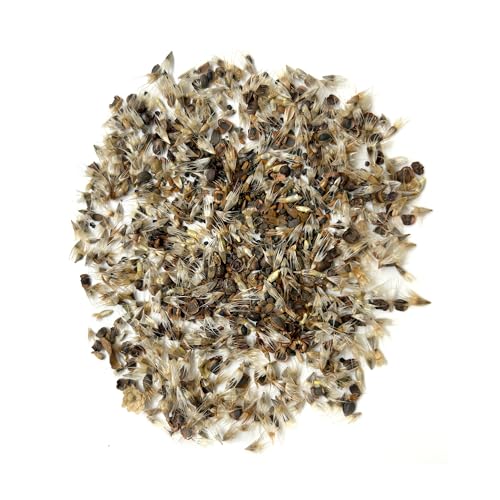 Colorado Western Bulk Wildflower Seeds (16 Ounce)