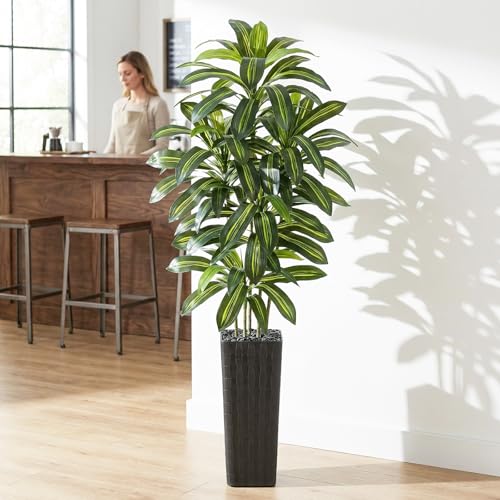 Artificial Dracaena Tree (Dark Green – Black Pot / 7FT)