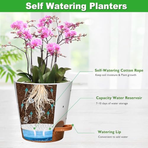Orchid Pot 6 Inch Orchid Pots with Holes (Multicolor - 6pack)