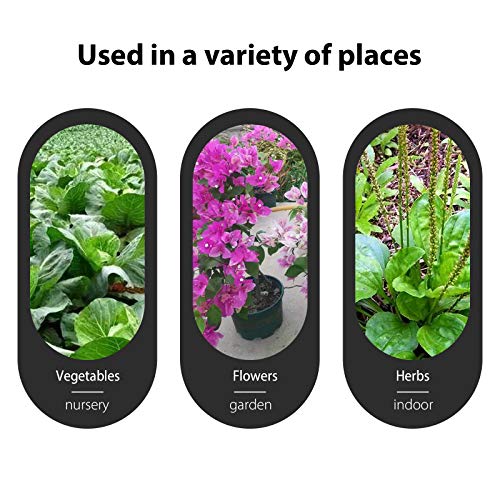 Pink Plant Labels (Pink)