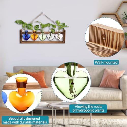 Plant Terrarium Hanging Propagation Stations Gift for Women