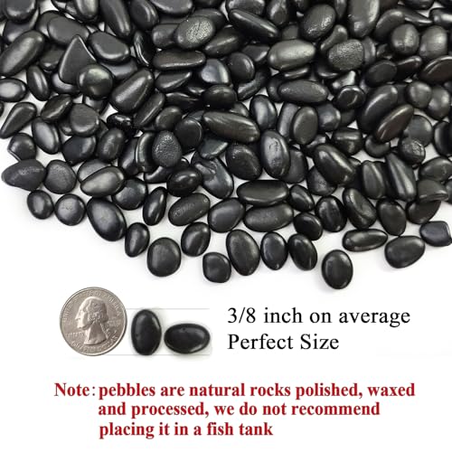 5 lbs Pebbles for Indoor Plants. 3