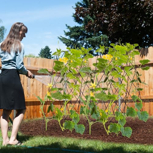Cucumber Trellis 2 Pack (Pitch Black / 39.4" H)