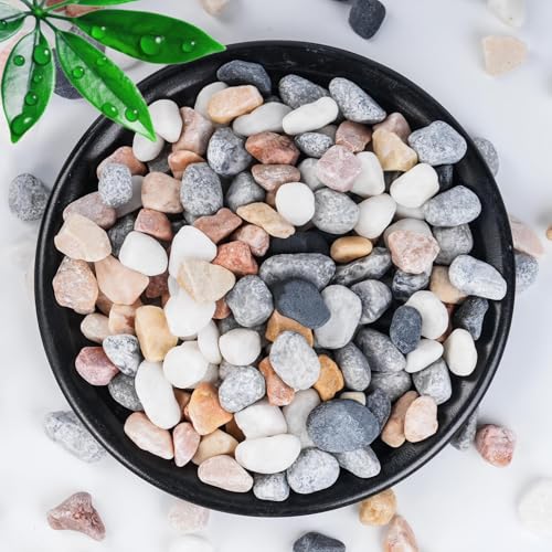 20 LB Mixed River Rocks (20 Pounds / Mixed Jade)