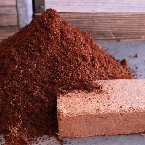 Minute Soil Eco
