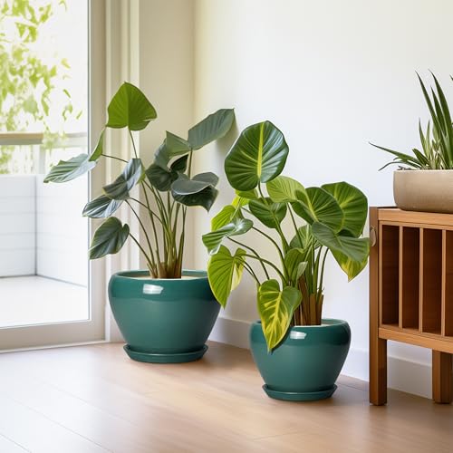 Ceramic Pots for Plants (10+8+6 Inch / Dark Green)