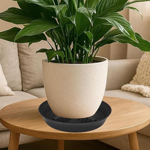 4 Pack Plant Saucer 8 inch