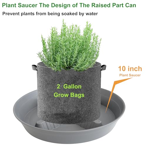 4 Pack Plant Saucer 10 inch (10"-4 Pack / Gray)