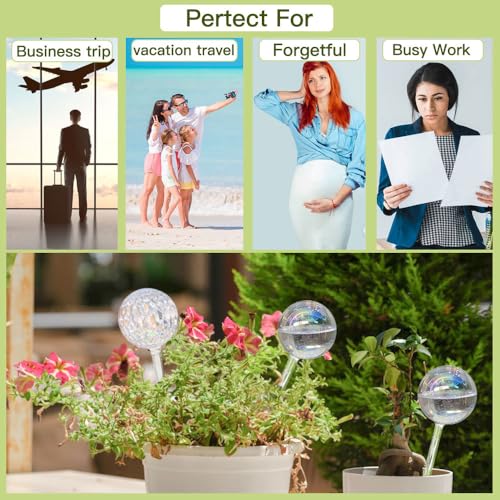 Glass Plant Watering Globes (2 1)