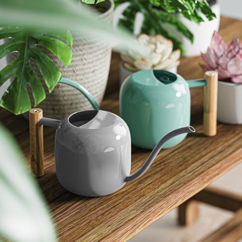 1.2L 41oz Metal Metal Watering Can with Long Spout (Gray)