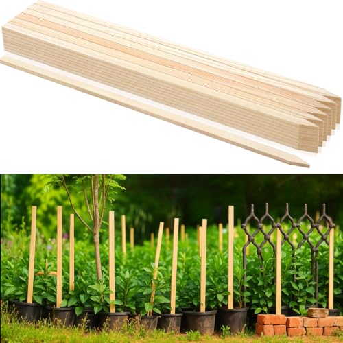 48 Pieces Wooden Garden Stakes 48 Inch Grade and Survey Stakes Wooden Garden and Sign Posts for Plant Support Silt Yard Fence Farm Survey Boundaries Baselines (Smooth Stakes / 48 Inch)