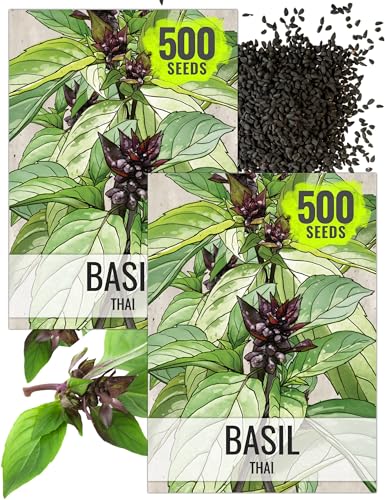 Thai Basil Seeds to Plant Heirloom Culinary Herbs 2 Packs (2 Packs)