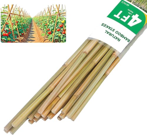 Natural Bamboo Plant Stake (4ft-50pcs)