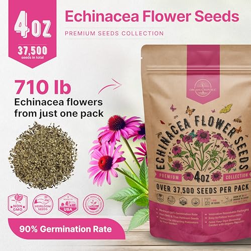 Echinacea Seeds Pack 4 oz (4 Ounce)