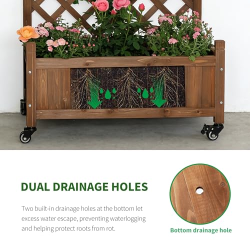 2 Trellis Raised Garden Bed with Wheels (Dark Brown / H38 × W28 x D13 in)