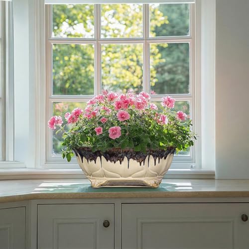 Ceramic Bonsai Pots (13.5 Inch / Oval Beige-brown)