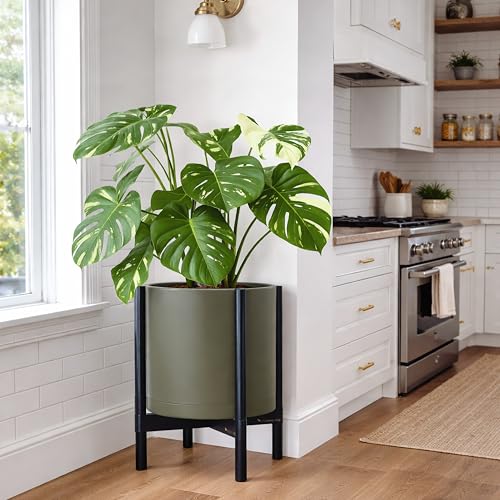 Plastic Pot with Ebony Wood Stand (Olive Pot + Ebony Stand / 14 Inch)