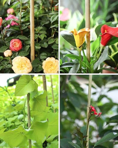 Natural Bamboo Plant Stake (30 Count)