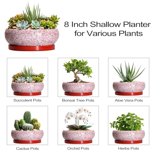 Succulent Pots (8 Inch / Red-white)