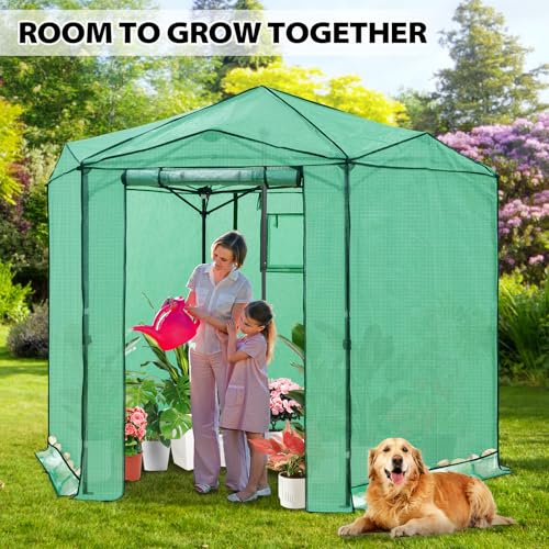 8.5x8.5 Easy Setup Pop Up Greenhouse (Clear/Green / 8.5x8.5)