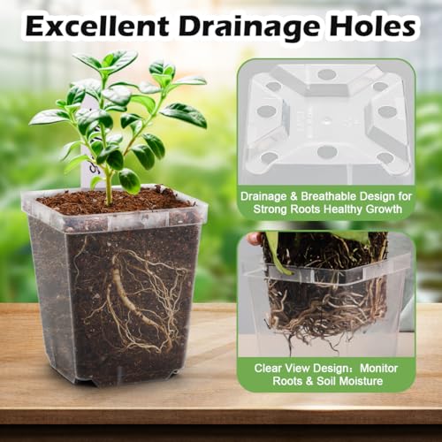 3.3 Inch Clear Nursery Pots with Drainage (Clear Pot+labels / 3.3Inch)