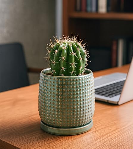 Beaded Ceramic Pot with Saucer (4.3 Inch / Olive)