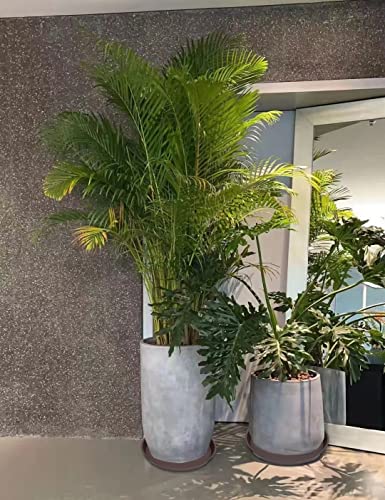 4 Pack of 16 17 inch Plant Saucer (17" (4 pack) / Dark Brown)