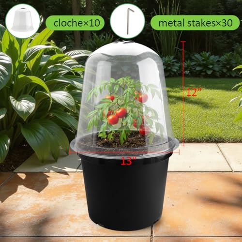 13 Inch Humidity Domes Garden Cloches for Plant Protection (13" D × 12" H 10P)