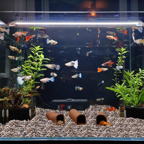 30lb Small Pebbles (480 Ounce)